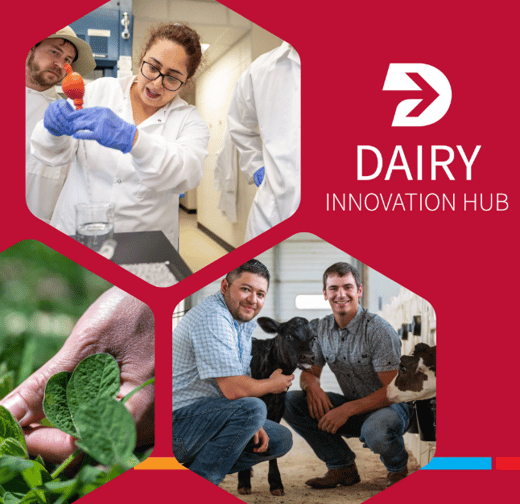 25 Dairy Summit Header v2-1
