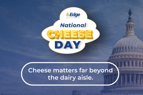 Cheese Day blog cover photo