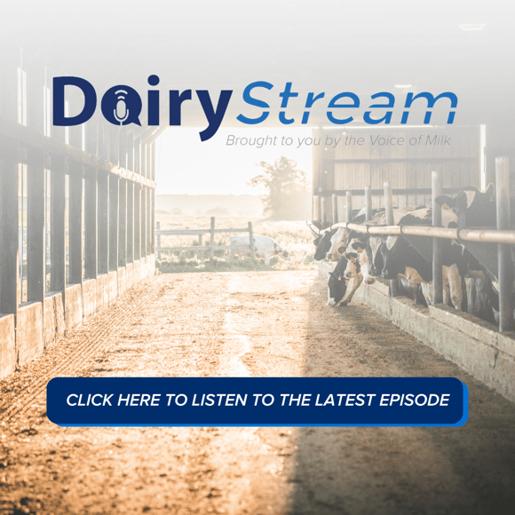 Dairy Stream (3)