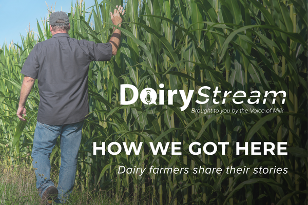 Dairy Stream How We Got Here blog cover (2)