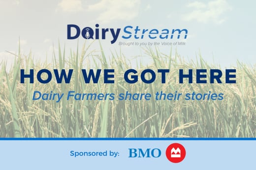 Dairy Stream blog cover