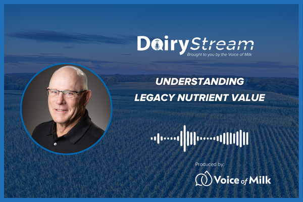 Dave Stamp Dairy Stream