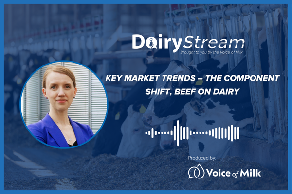 Key Market Trends