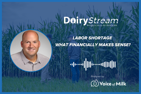 Labor Shortage
