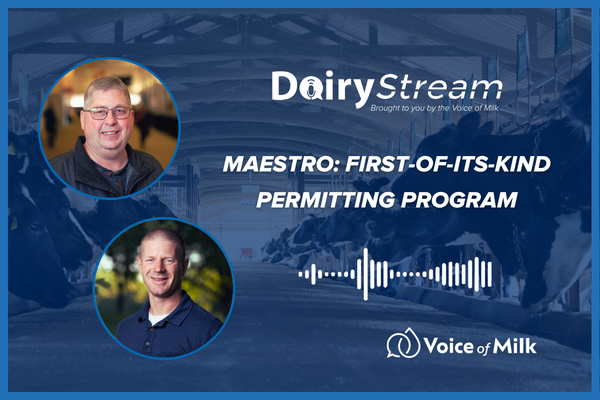 Maestro Dairy Stream cover photo