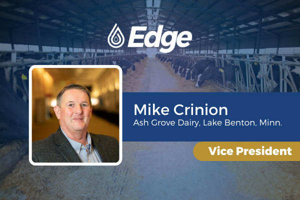 Mike Crinion - Edge vice president