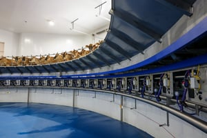 Parlor from Delaval (1)