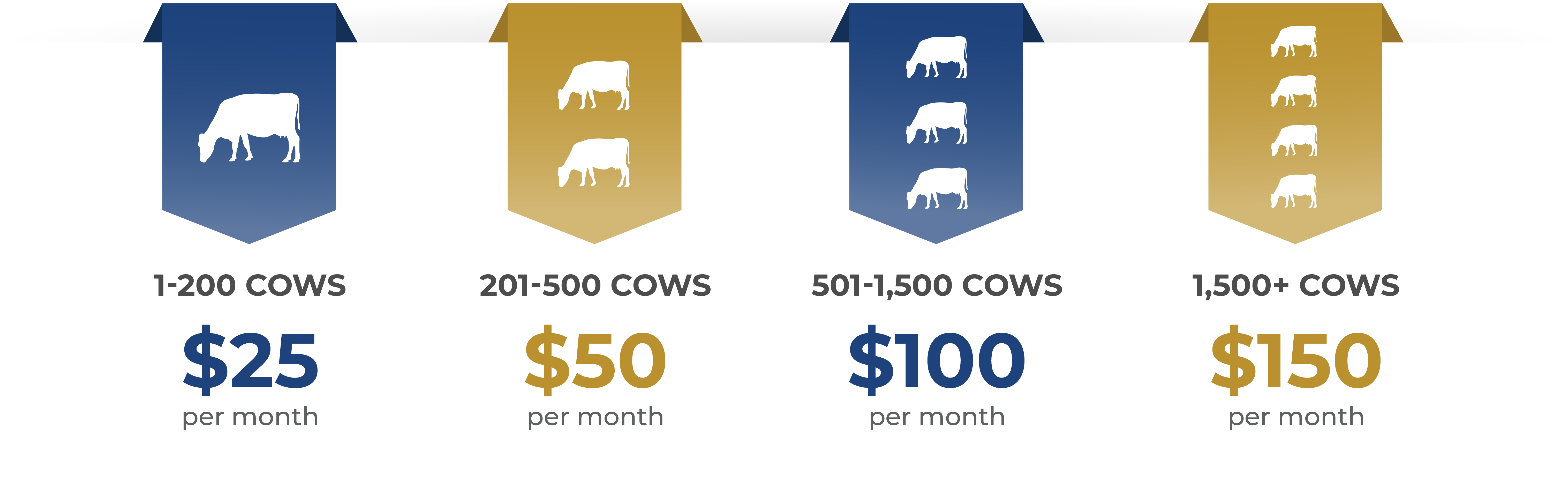 Pricing Graphic