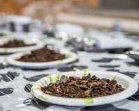 Sedron fertilizer (1)