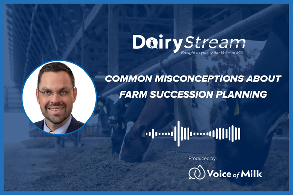 Succession Planning Misconceptions