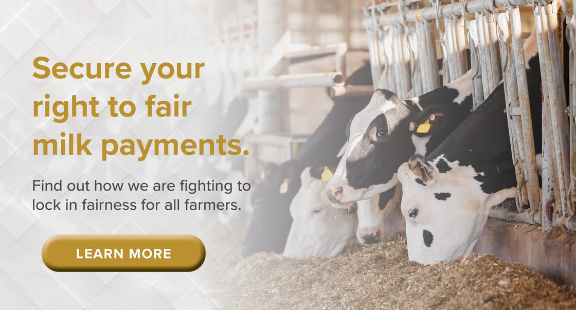 Timely & Accurate Payments Banner-1