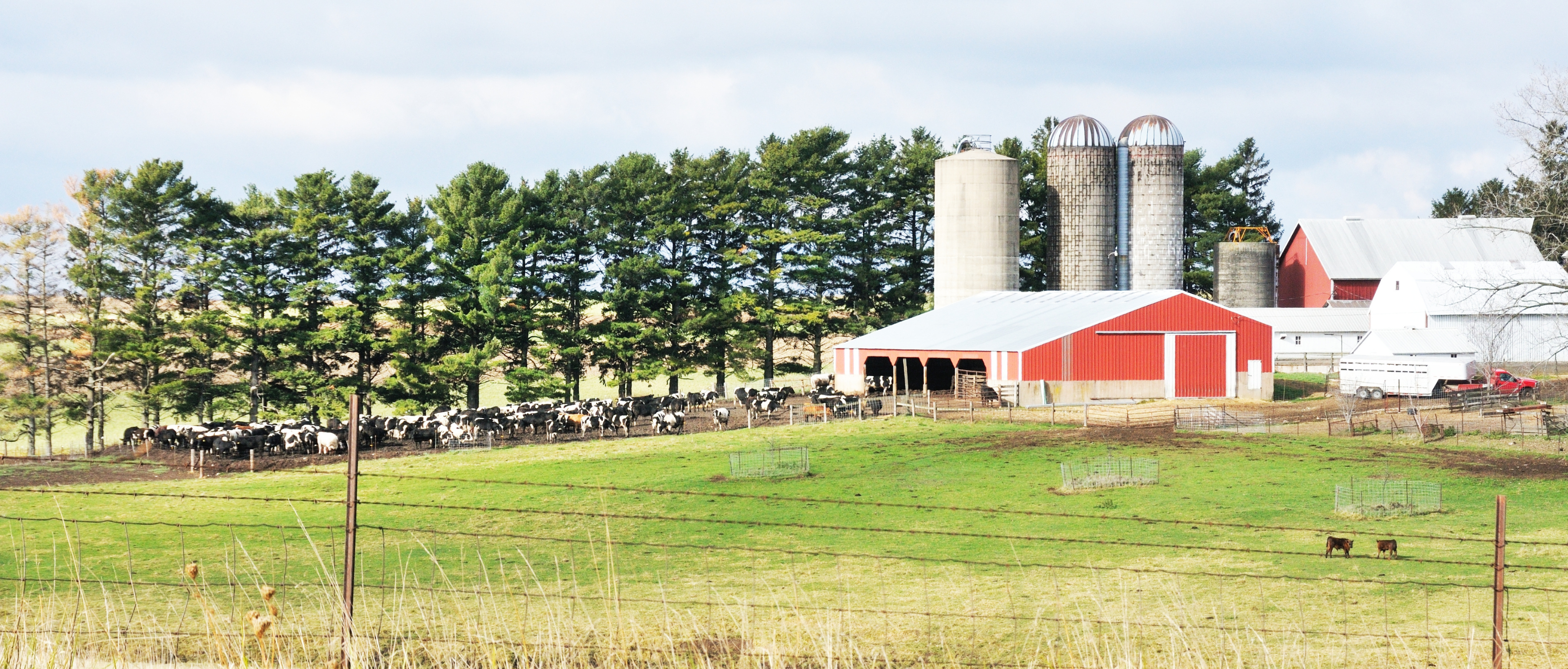 farm (4)